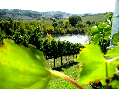 Sorsi di cultura umbra