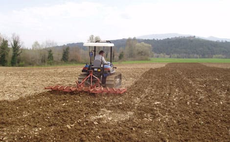 erpicatura Cantina Colle Uncinano Spoleto (1)