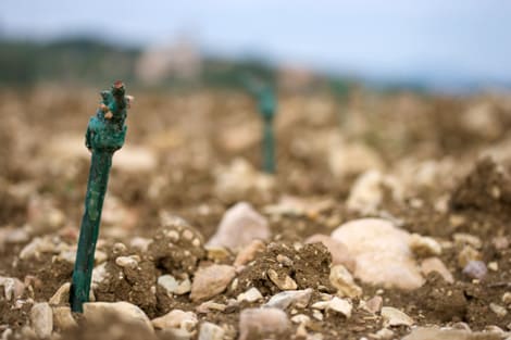 La cera si scioglie già… Cantina Colle Uncinano Spoleto