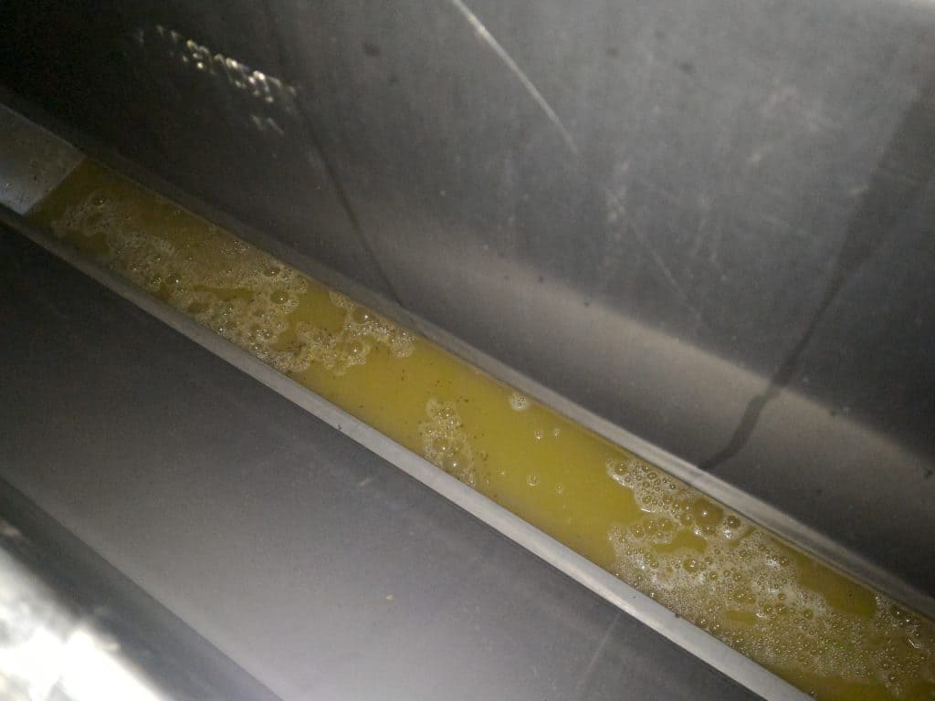 Pressatura delle bucce Cantina Colle Uncinano Spoleto Umbria